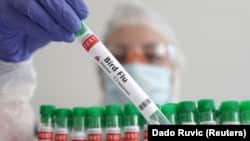 H5N1 kuş gribi yabani kuşlar, kümes hayvanları, inekler ve diğer hayvanlar arasında geniş çapta yayılıyor. Yetkililer, virüsün çevrede giderek artan varlığının, insanların virüse maruz kalma ve potansiyel olarak yakalanma şansını arttırdığına dikkat çekiyor. 