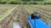 Aumento del diésel, “duro golpe” que preocupa al sector agropecuario de Venezuela 