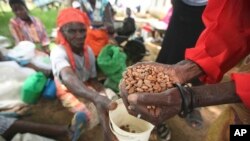 Zimbabwe Hunger Crisis