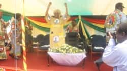 Report on Grace Mugabe Filed By Irwin Chifera