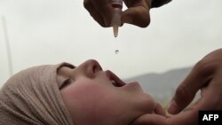 از آغاز سال جاری میلادی تا حال ۵۶ مورد مثبت پولیو در افغانستان ثبت شده است.