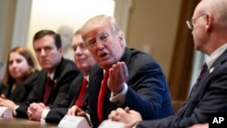 Presiden Donald Trump berbicara dalam rapat dengan kalangan eksekutif baja dan aluminum di Ruang Kabinet di Gedung Putih, Kamis, 1 Maret 2018, di Washington, D.C. (foto: AP Photo/Evan Vucci)