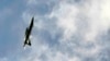 Australia Expresses Regret Over Botched Syrian Airstrikes