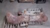 Hallan fósil de dinosaurio gigante