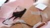 La FDA busca reducir restricciones para la donación de sangre de hombres gay