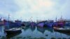 Overfishing Risks Collapsing Global Fishing Industry