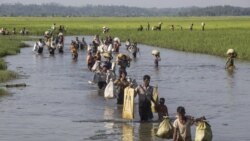ဘင်္ဂလားဒေ့ရှ်ရောက် ဒုက္ခသည်တွေ ပြန်လည်လက်ခံရေး စိစစ်ရေးအဖွဲ့ ဖွဲ့စည်း