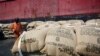 Contrebande de cacao du Ghana par la Côte d'Ivoire